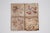 18th Century Gorgeous Set of Four Naturalistic Portuguese Tiles For Sale - Image 9 of 12