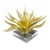 Golden Bronze Succulent on Plexiglass Stand For Sale