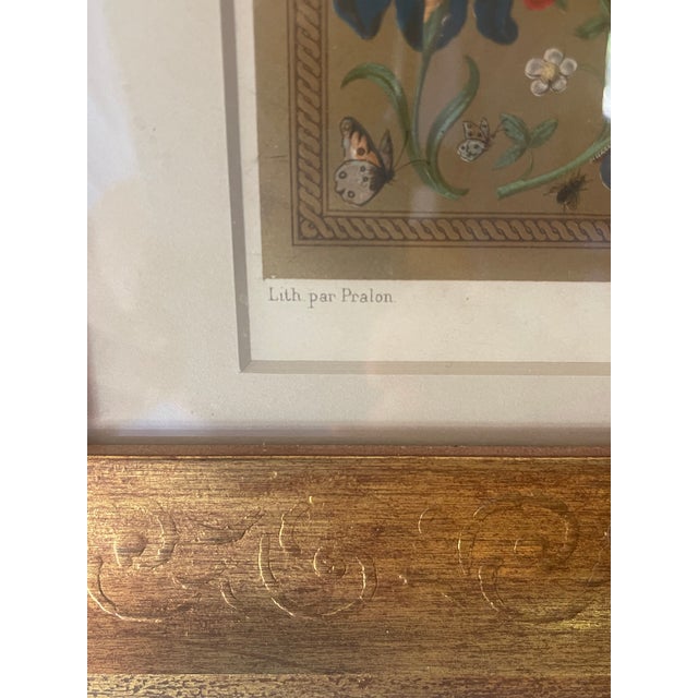 Printmaking Materials Antique Original Print Plate LXI 1869 Renaissance Pope Gregory XIII & Italy Larson Juhl Gold Leaf Frame For Sale - Image 7 of 8