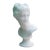 Bust of Venus Italica – Classical Marble Bust For Sale