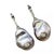 Diamond Freshwater Pearl Earrings 14 Karat Gold Grey 23.2 Mm Certified For Sale - Image 9 of 13