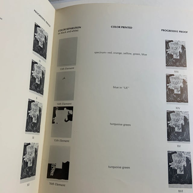 Gray 1972 Jasper Johns Decoy Print and Painting Book For Sale - Image 8 of 9
