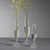 Modern Flo 2-Piece Set Optic Glass Vases, 10" For Sale - Image 3 of 6