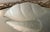 Contemporary 40's Frosted Glass Slip Shade or Shade for Sconce For Sale - Image 3 of 5