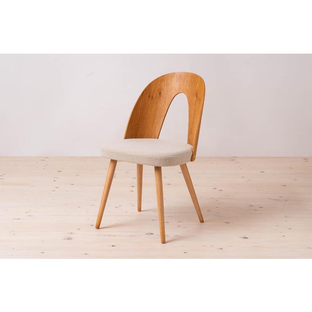 Mid-Century Dining Chairs attributed to A. Suman, 1960s, Set of 16 For Sale - Image 10 of 18