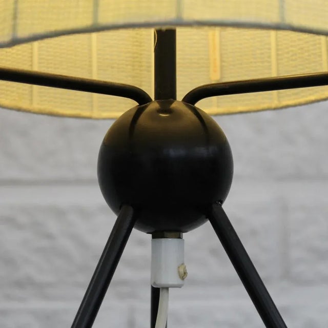 Texopla Floor Lamp from Trema Industri, 1950s For Sale - Image 10 of 13