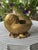 Vintage Large Scale Palm Beach Style Brass Nautilus Shell Planter For Sale In Little Rock - Image 6 of 17