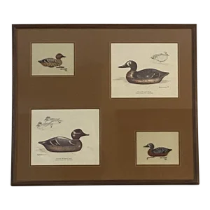 Vintage 1980s Brownlee & Ann Modahl Duck Image and Cross Stitch Collaboration - Matted and Framed