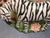 Hollywood Regency 1970s Palm Beach Style Zebra Planter For Sale - Image 3 of 7