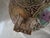 Late 19th C Japanese Double Handles Moriage Porcelain Vase For Sale - Image 16 of 16