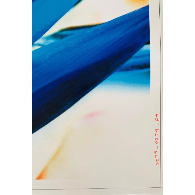 Circa 1998 Flora Fauna Series Vintage Color Photograph Abstract Flower Fuji Crystal Photograph For Sale - Image 4 of 7