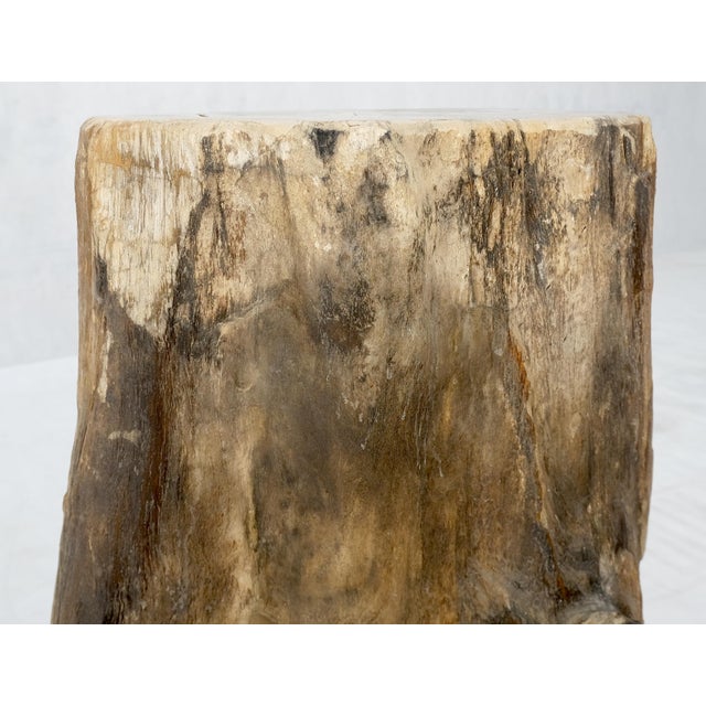 Petrified Wood Organic Shape Multicolor Beige to Black Stand End Table Pedestal For Sale - Image 6 of 10