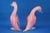 1940s Large 20th Century Ducks in Pink Sommerso Glass by Archimede Seguso, Murano, Italy, Set of 2 For Sale - Image 5 of 18