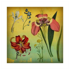 Antique 'Lily & Iris' Archival Print