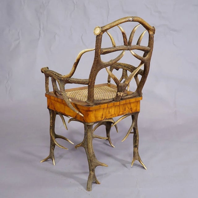 Cabin Black Forest Antler Arm Chair by J. A. K. Horn, Turingen 1840s For Sale - Image 3 of 10