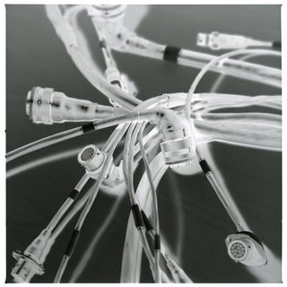 Paul Cooklin, Motorsport Wiring Loom Abstract III, Silver Gelatin Photograph, Limited Edition of 10 For Sale