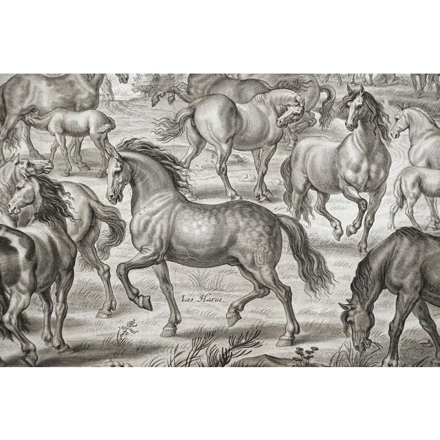 18th Century Antique Stud Farm Engraving - a Pair For Sale - Image 5 of 10