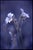 Paul Cooklin, Woodruff, Gallium Odoratum, Edition of 50 For Sale - Image 7 of 7