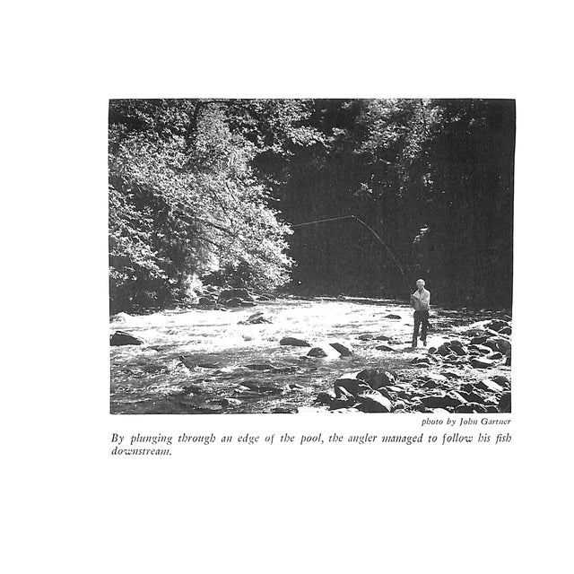 White "Western Trout" Book 1948 Macdowell, Syl For Sale - Image 8 of 9