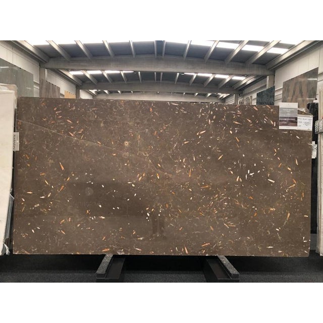 Hera Dining Table in Jurassic Fossil Stone by Nerinea For Sale - Image 6 of 7