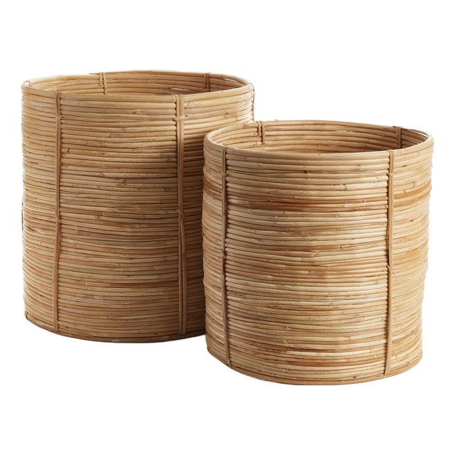 Cane Rattan Round Tree Baskets, Set Of 2 For Sale