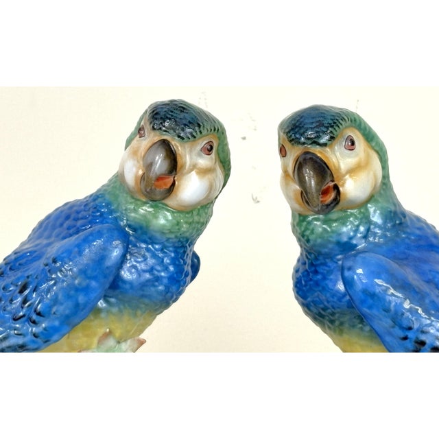 Ceramic 1940's Germany Hand Painted Large Porcelain Parrots- A Mirrored Pair For Sale - Image 7 of 18