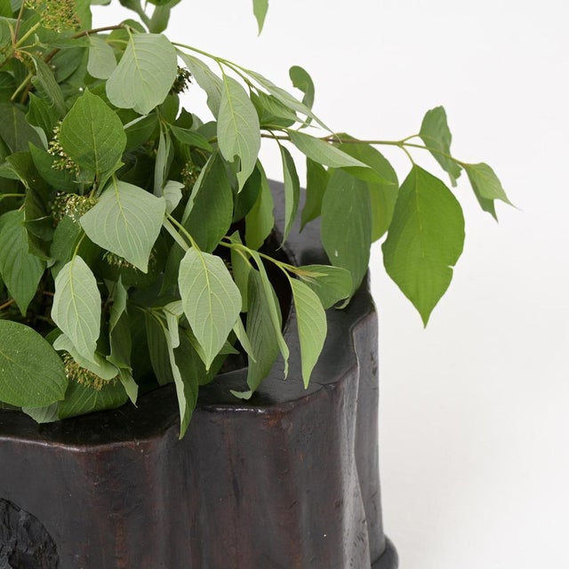 Japanese Tree Trunk Hibachi For Sale - Image 8 of 18