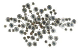 Example of Arteriors Home Sculptural Wall Objects