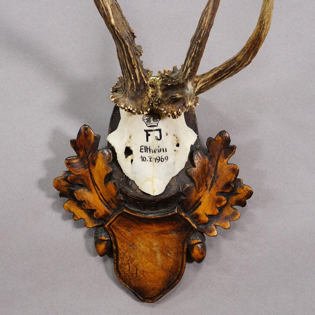1960s Red Deer Trophy by Franz Joseph, Prince of Thurn and Taxis, 1969 For Sale - Image 5 of 7