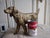 Vintage Large Bronze Dog Statue For Sale - Image 12 of 13