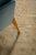 Early 21st Century Modern Traditional Oriental Inspired Wool Rug by Doris Leslie Blau For Sale - Image 5 of 11