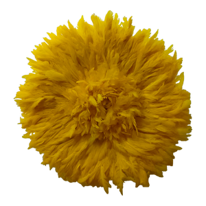 Yellow Juju Hat