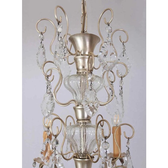 French Provincial Chandelier with Trimmings For Sale - Image 3 of 6