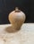 Ceramic 19th Century European Terra Cotta Vase For Sale - Image 7 of 12