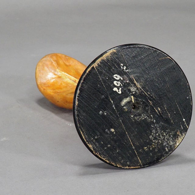 Antique Teaching Model of the Adipose Spleen, 1900s For Sale - Image 6 of 7