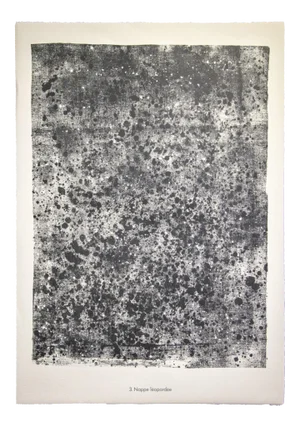 Jean Dubuffet, Tablecloth Léopardée From Soil, Earth, Lithograph, 1959