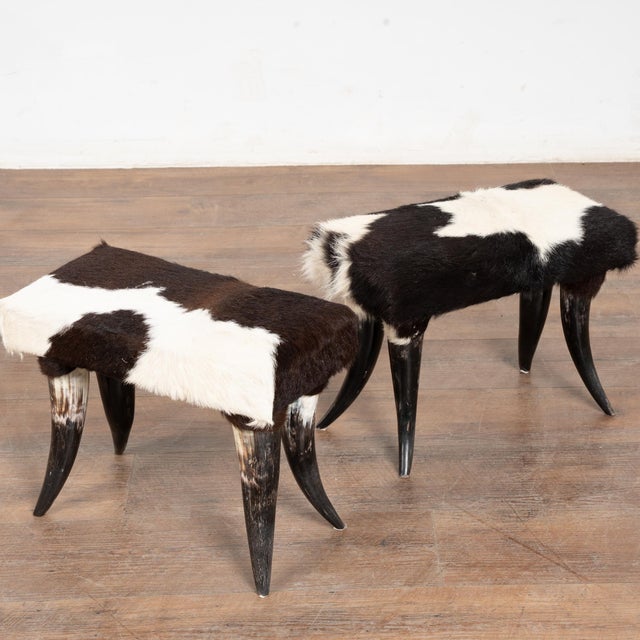 American 20th Century Set (5) of Horn and Hide Armchairs, Ottomans and Side Table For Sale - Image 3 of 12