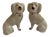 19th Century Staffordshire Poodles - a Pair For Sale