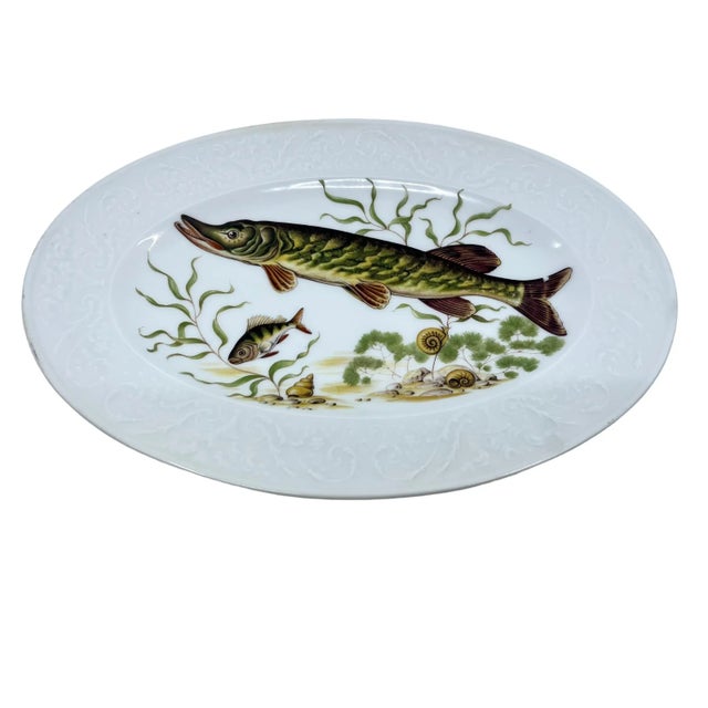 Early 20th Century Antique Pike Fish Limoges Made in France Platter For Sale - Image 5 of 12