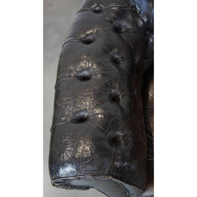 Cowhide 3-Seater Chesterfield Sofa For Sale - Image 7 of 18
