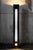Three-Light Metal Floor Lamp for Status Italia, 1990s For Sale - Image 4 of 9