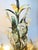 Metal Murano Glass Flowers Chandelier, 1990 For Sale - Image 7 of 15