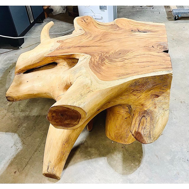 Beautiful Monkey Pod Root Slab/Table For Sale - Image 4 of 8