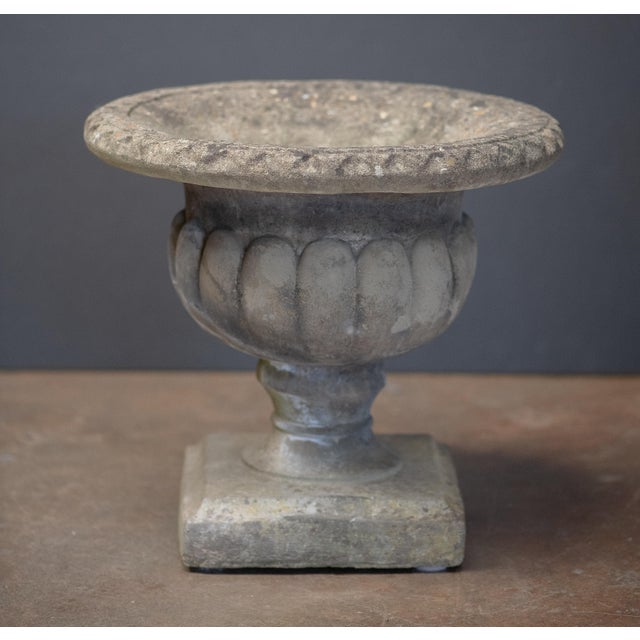 Stone English Garden Stone Urn or Planter Pot on Square Plinth Base For Sale - Image 7 of 10
