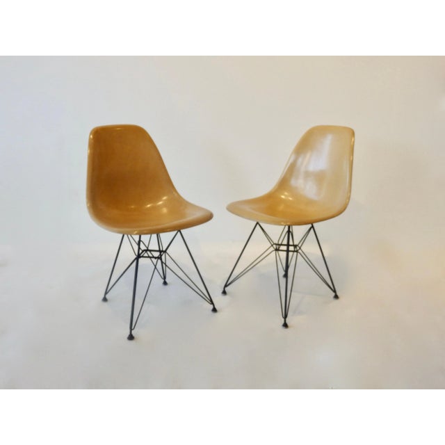 Mid-Century Modern Eames Fiberglass DSR Chairs on Eiffel Tower Bases - A Pair For Sale - Image 3 of 11