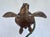 Copper Late 20th Century Fine Bronze Sea Turtle Turtles Sculpture by Joseph Quillan Moonlight Carousel For Sale - Image 8 of 12