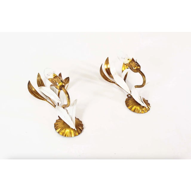 Small of sheaf of wheat wall lights by Hans Kögl. 1960's gilt metal. Both in good condition with some signs due to age....