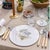 Vintage "Safari Serenade" Circular Placemats - Set of 4 For Sale - Image 10 of 11