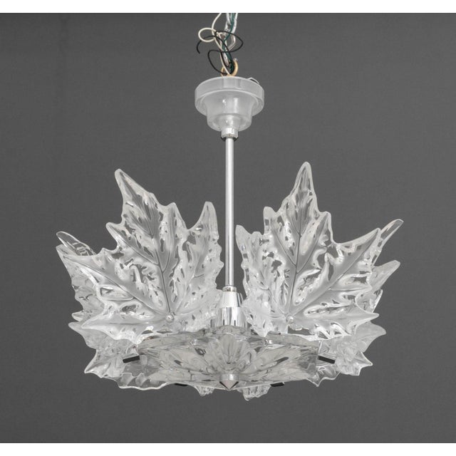 Transparent Lalique Crystal "Champs-Elysees" Two-Tier Chandelier For Sale - Image 8 of 13