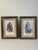 Antique pair of zoological monkey Chromolithographs in antique profile frames.